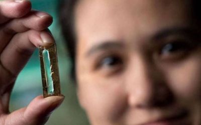 Bateria care rezista 400 de ani: inventia unei studente va revolutiona tehnologia