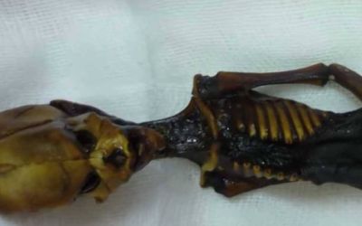 Ce este extraterestrul din Atacama ? Anomaliile sunt inexplicabile