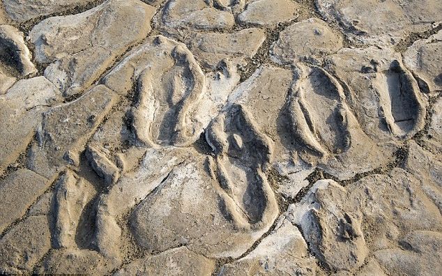 Descoperire Incredibila A Cercetatorilor Ce Se Intampla Aici Acum 19 000 De Ani