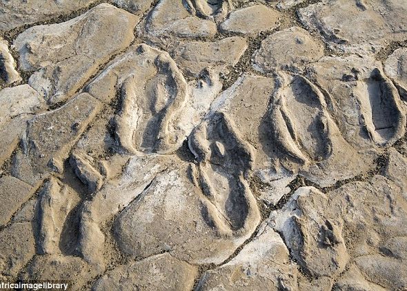 Descoperire incredibila a cercetatorilor! Ce se intampla aici acum 19.000 de ani Descoperire Incredibila A Cercetatorilor Ce Se Intampla Aici Acum 19 000 De Ani