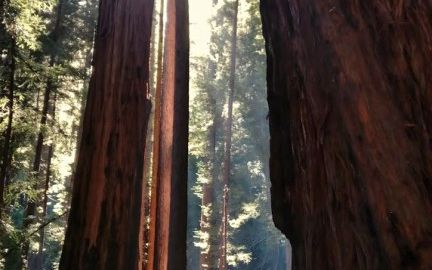 E Acesta Telefonul Cu Cea Mai Buna Camera Foto Kodak Tocmai A Lansat Un Smartphone Cu O Camera Exceptionala