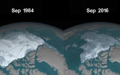 Imaginile care arata proportia dezastrului! Time-lapse difuzat de NASA
