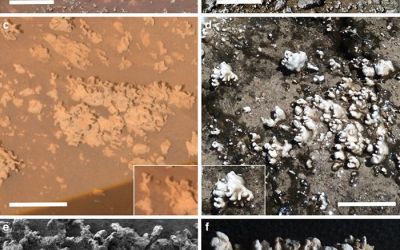 Dovada vietii pe Marte? Cercetatorii au observat detalii incredibile in aceste imagini - FOTO