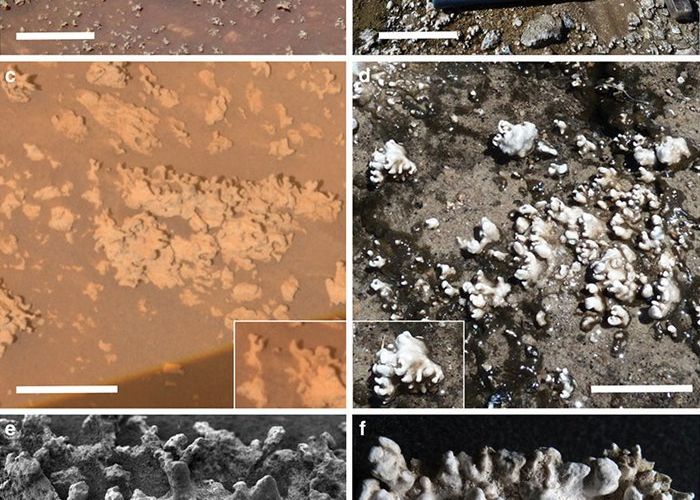 Dovada vietii pe Marte? Cercetatorii au observat detalii incredibile in aceste imagini - FOTO Dovada Vietii Pe Marte Cercetatorii Au Observat Detalii Incredibile In Imaginile Trimise De Un Rover Foto
