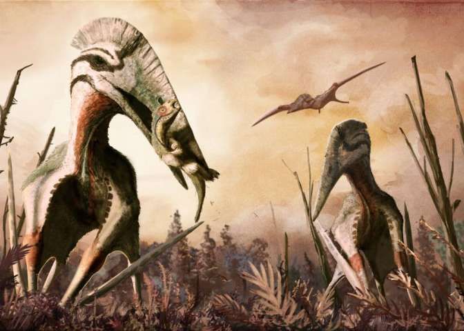 Descoperire Importanta In Romania Cercetatorii Straini Uimiti Sunt Unice In Lume