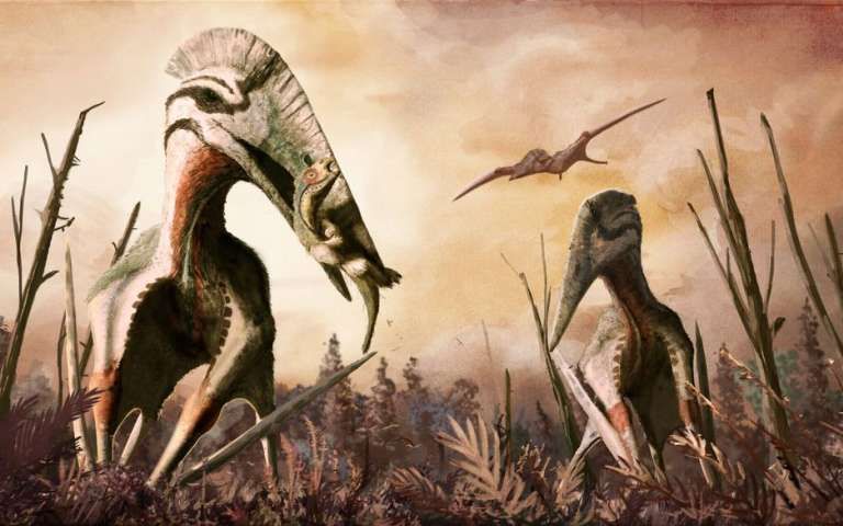 Descoperire unica in Romania! Cercetatorii straini sunt uluiti de ce au gasit aici - FOTO Descoperire Importanta In Romania Cercetatorii Straini Uimiti Sunt Unice In Lume