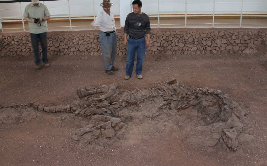 Descoperirea Care I A Uimit Pe Cercetatori Ce Au Gasit In Scheletul Unui Dinozaur