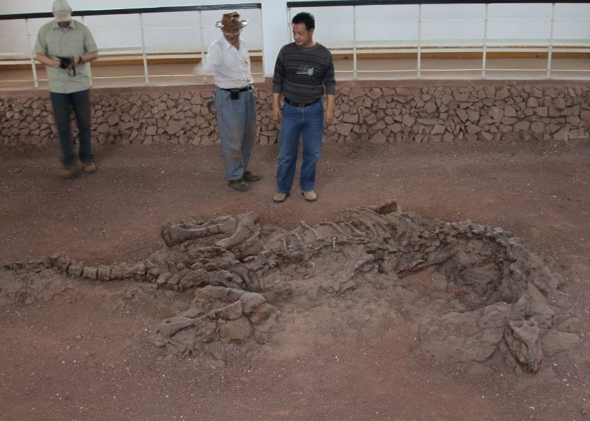 Descoperirea care i-a uimit pe cercetatori! Ce au gasit in scheletul unui dinozaur Descoperirea Care I A Uimit Pe Cercetatori Ce Au Gasit In Scheletul Unui Dinozaur