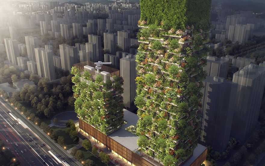 Solutie Impotriva Poluarii Gradinile Verticale Vor Produce Peste 60 Kg De Oxigen Zilnic