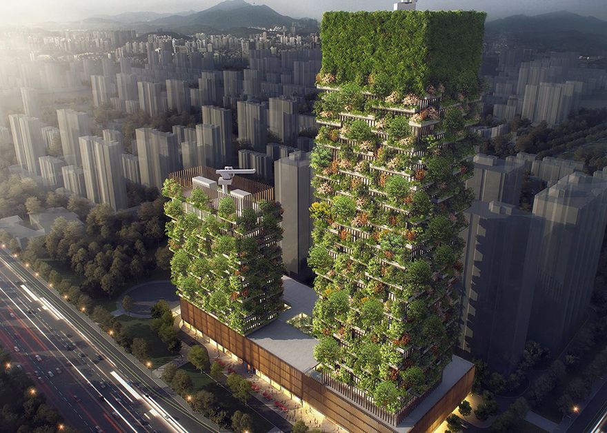 Solutie Impotriva Poluarii Gradinile Verticale Vor Produce Peste 60 Kg De Oxigen Zilnic