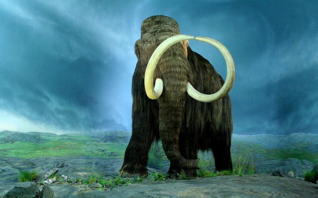 Motivul Incredibil Pentru Care Savantii Rusi Vor Sa Cloneze Specii Disparute De Mii De Ani