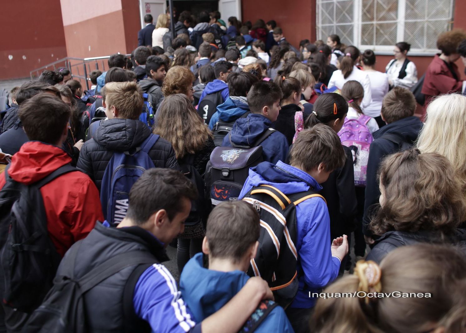 Lovitura Data De Dexonline Elevilor In Timpul Simularii De La Clasa A 8 A Ce S A Intamplat Chiar Inainte