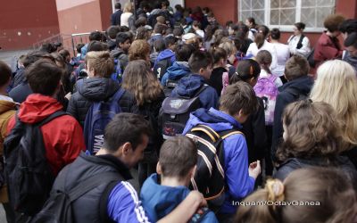 Lovitura data de DexOnline elevilor in timpul simularii de la clasa a 8-a! Ce s-a intamplat chiar inainte de examen