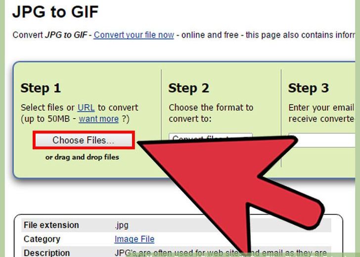 Schimbare importanta anuntata de Google! Ce se intampla cu fisierele JPEG Schimbare Importanta Anuntata De Google Ce Se Intampla Cu Fisierele Jpeg
