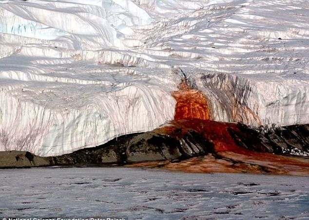Misterul Cascadei De Sange Din Antarctica A Fost Descifrat Cum Se Explica Acest Fenomen