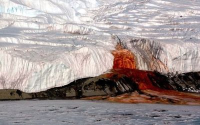 Misterul Cascadei de Sange din Antarctica a fost descifrat! Cum se explica acest fenomen