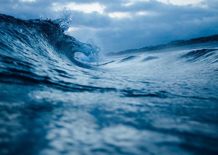 O Extinctie In Masa Ar Putea Avea Loc Curand Cercetatorii Spun Ca Am Ajuns Intr Un Punct Critic