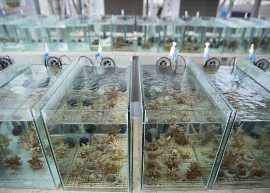 O Speranta In Fata Incalzirii Globale Ce Au Descoperit Oamenii De Stiinta