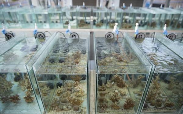 O Speranta In Fata Incalzirii Globale Ce Au Descoperit Oamenii De Stiinta