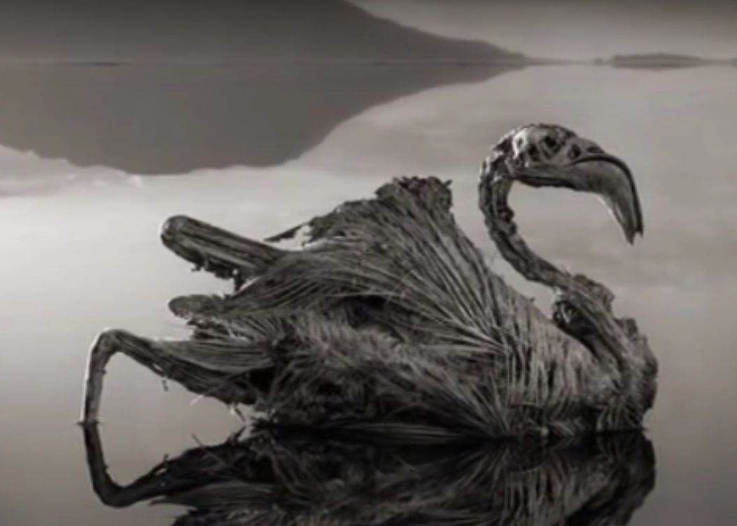 Misterul Lacului Natron Apa Care Transforma Orice Fiinta In Stana De Piatra