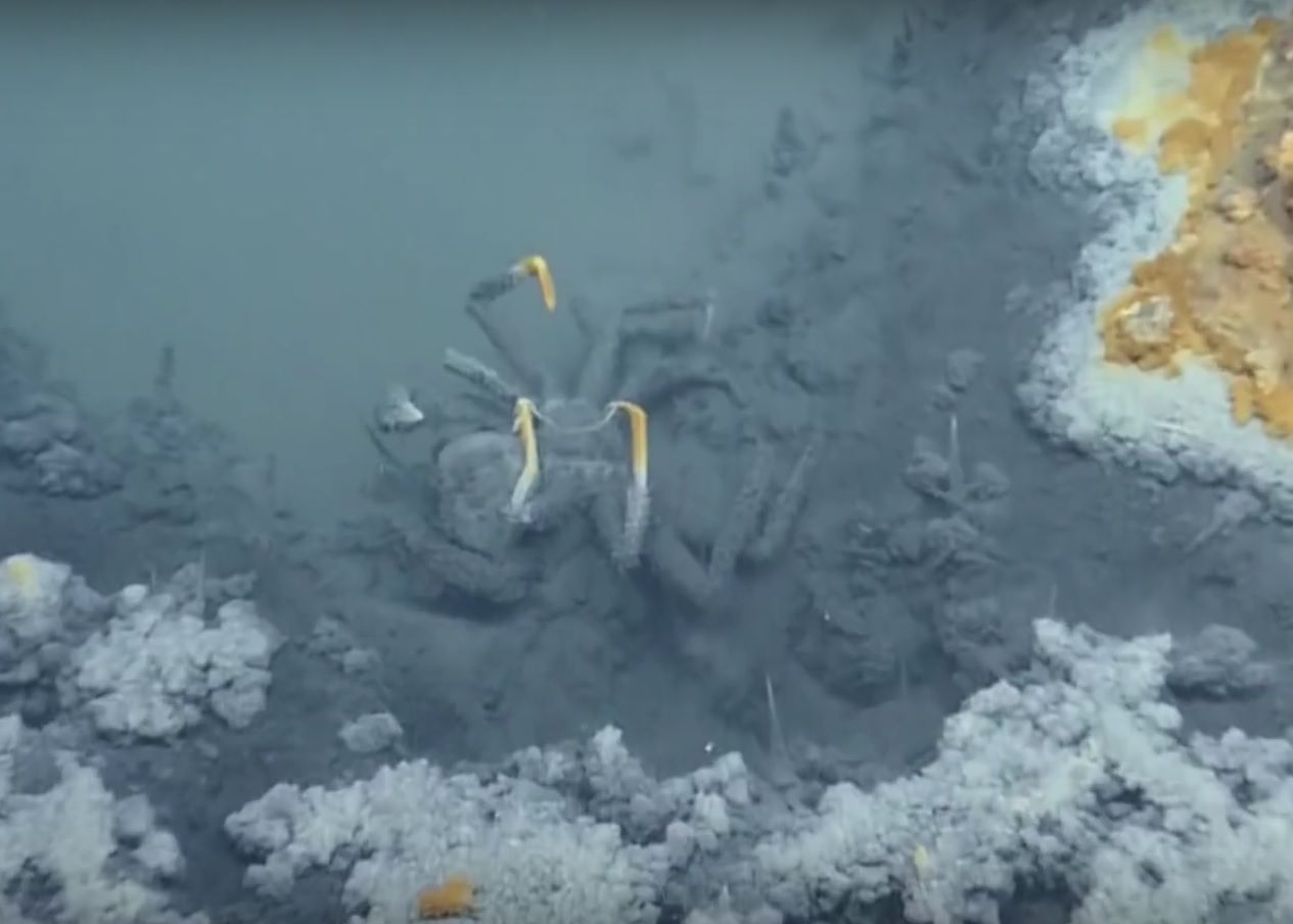 Misterul Lacului De Sub Ocean Fiintele Care Inoata Aici Mor Imediat Care Este Explicatia 1