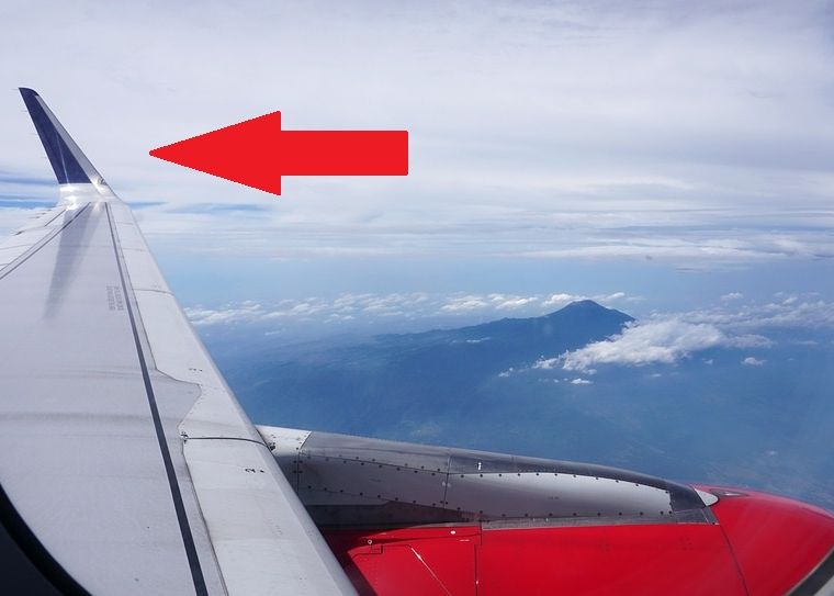 De Ce Au Unele Avioane Aripi Cu Varful Intors