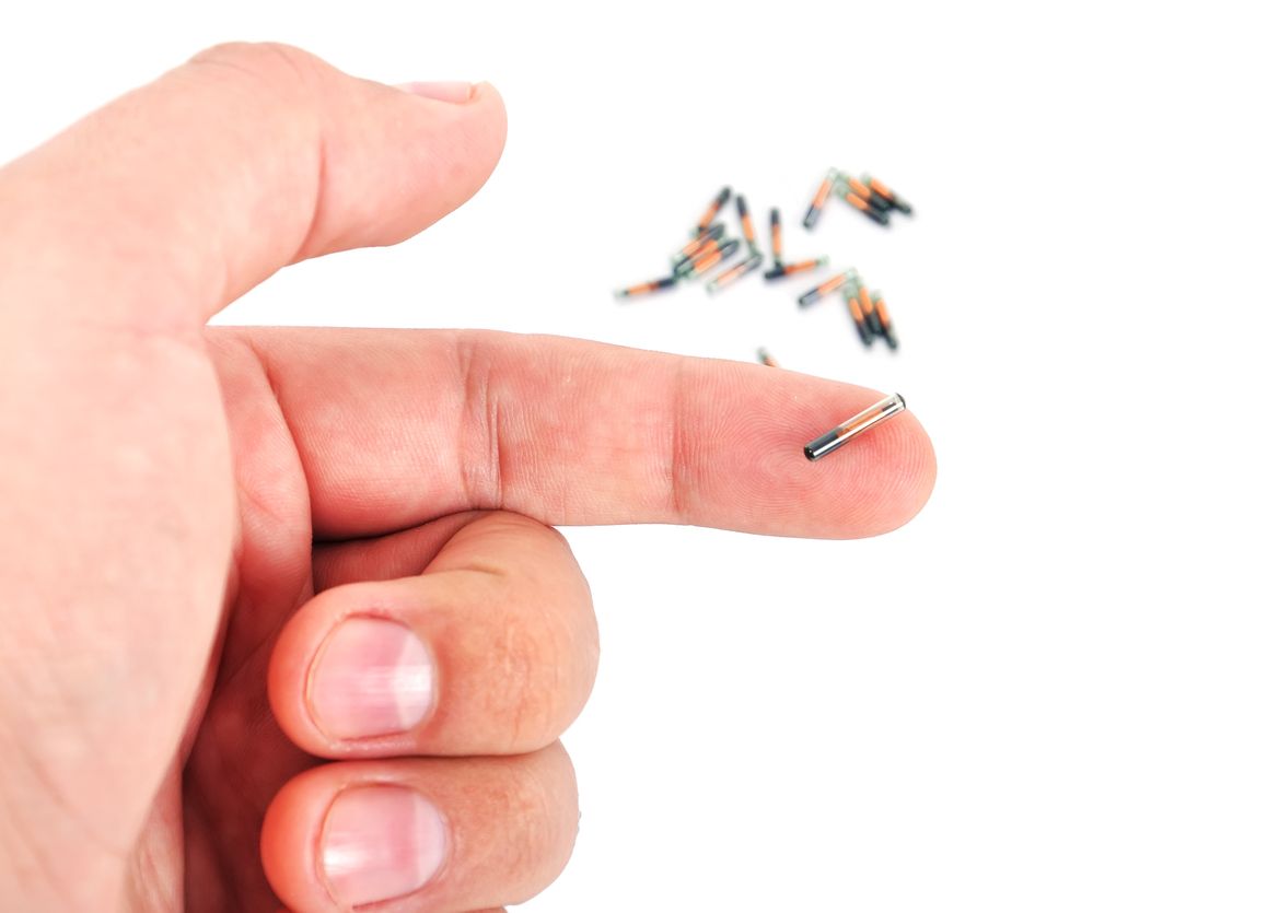 O companie americana vrea sa implanteze microcipuri sub pielea angajatilor O Companie Americana Va Implanta Microchipuri Sub Pielea Angajatilor