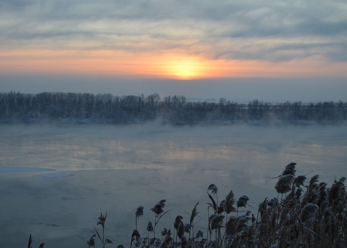 Descoperire impresionanta in Siberia! Ce-a scos la lumina topirea solului inghetat Descoperire Impresionanta In Siberia Ce A Scos La Lumina Topirea Solului Inghetat 1