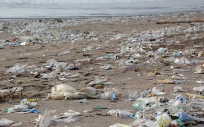 Concluzie alarmanta! Cate deseuri de plastic au produs oamenii in ultimii 60 de ani