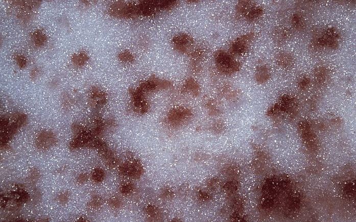 Pericolul Nebanuit De La Polul Nord Ce Este Zzapada Rosie Si De Ce Provoaca Incalzirea Climei