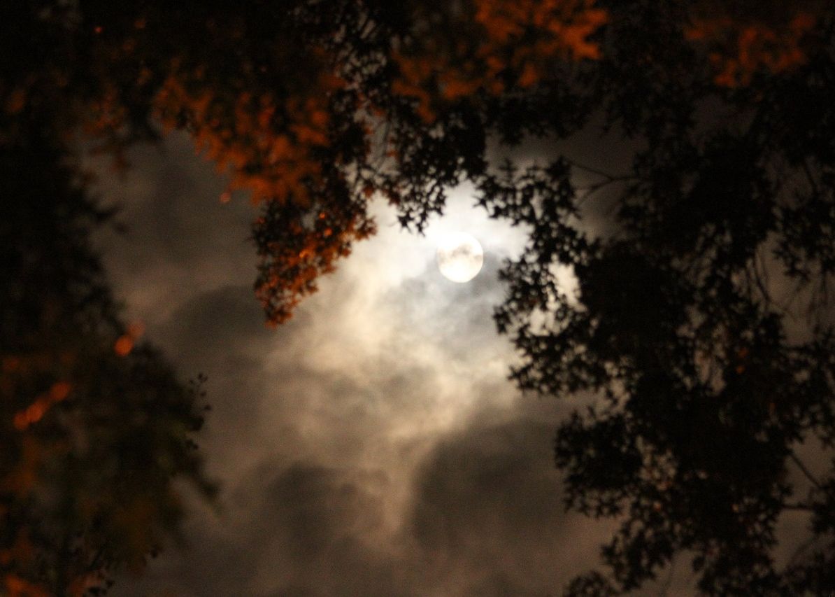 Echinoctiul De Toamna Toamna Astronomica Incepe Vineri 22 Septembrie La Ora 23 01