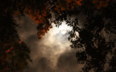 Echinoctiul de toamna: toamna astronomica incepe vineri, 22 septembrie, la ora 23.01