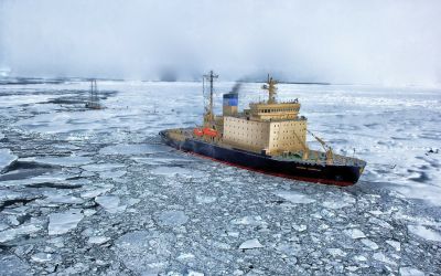 Descoperire tulburatoare in Oceanul Arctic! Ce au gasit cercetatorii pe sloiurile de gheata