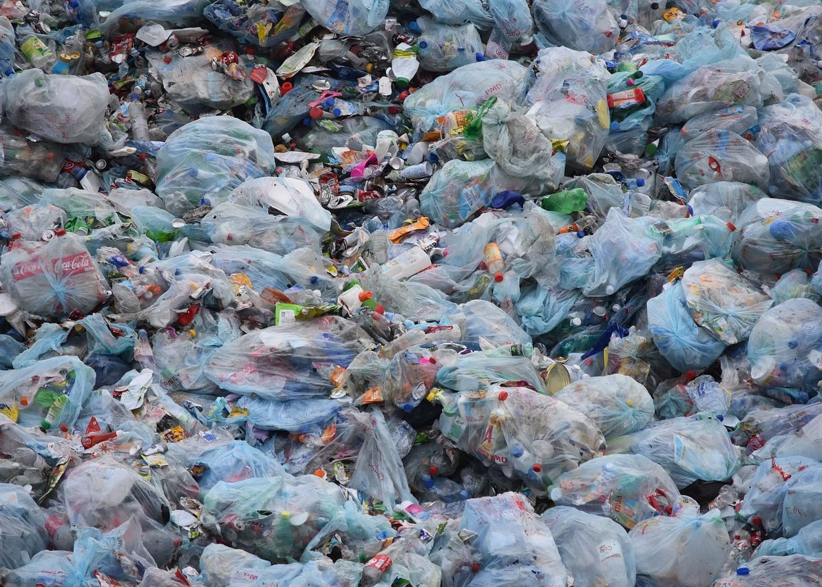 Solutie neasteptata pentru reducerea poluarii! Ce au descoperit cercetatorii intr-o groapa de gunoi Solutie Neasteptata Pentru Reducerea Poluarii Ce Au Descoperit Cercetatorii Intr O Groapa De Gunoi