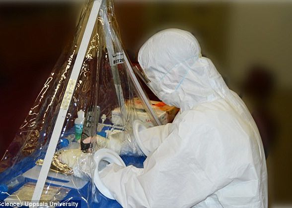 Descoperirea Care Rescrie Istoria Ce Au Aflat Cercetatorii Despre Originea Speciei Noastre