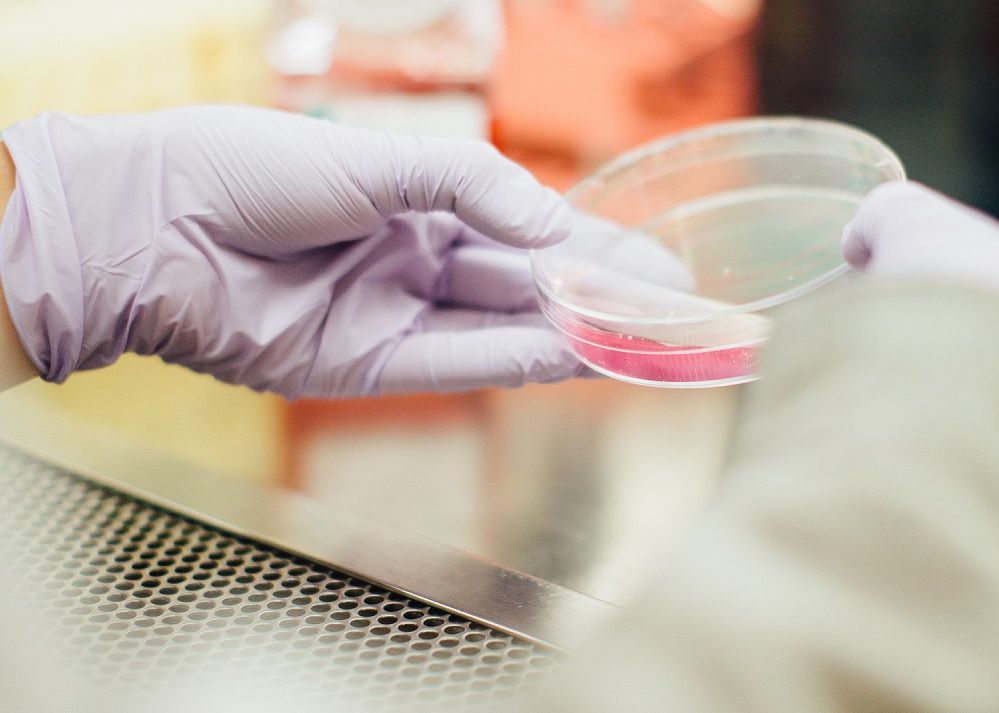 Premiul Nobel Pentru Medicina Acordat Cercetatorilor Care Au Descifrat Unul Dintre Marile Mistere Ale 1