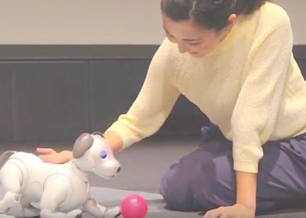 Sony Lanseaza O Noua Versiune A Cainelui Robot Aibo