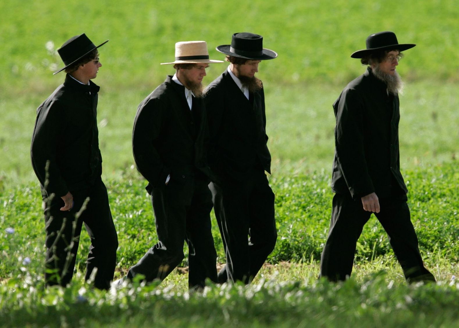 Misterul Longevitatii Incredibile In Secta Amish De Ce Adeptii Ei Sunt Mai Sanatosi Decat Alti Oameni