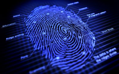 Samsung a pierdut startul! Cine va produce primul telefon cu senzor de amprenta in spatele ecranului