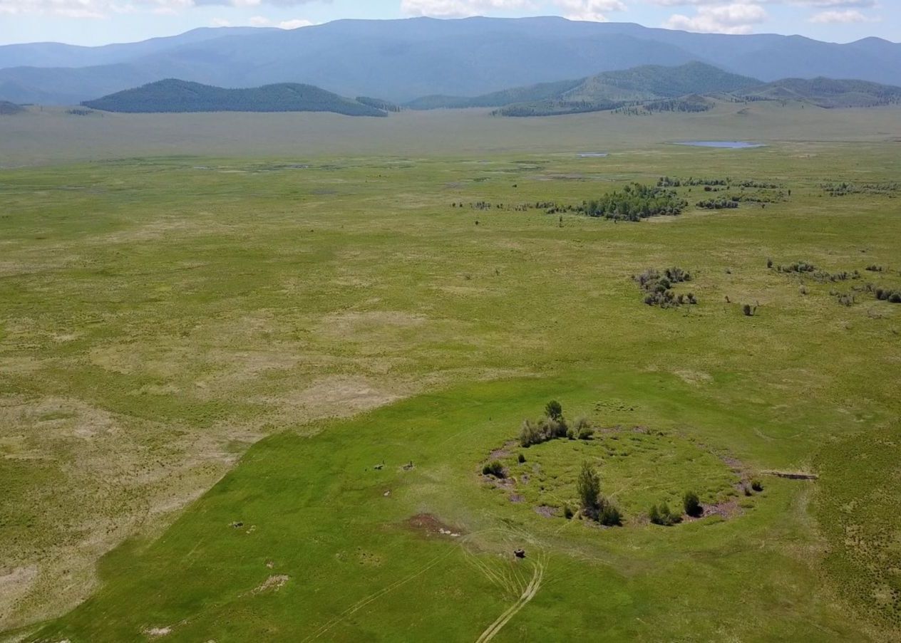 Descoperire Importanta In Valea Regilor Din Siberia Ce Se Afla In Mormantul Inghetat Sapat Acum 3 000