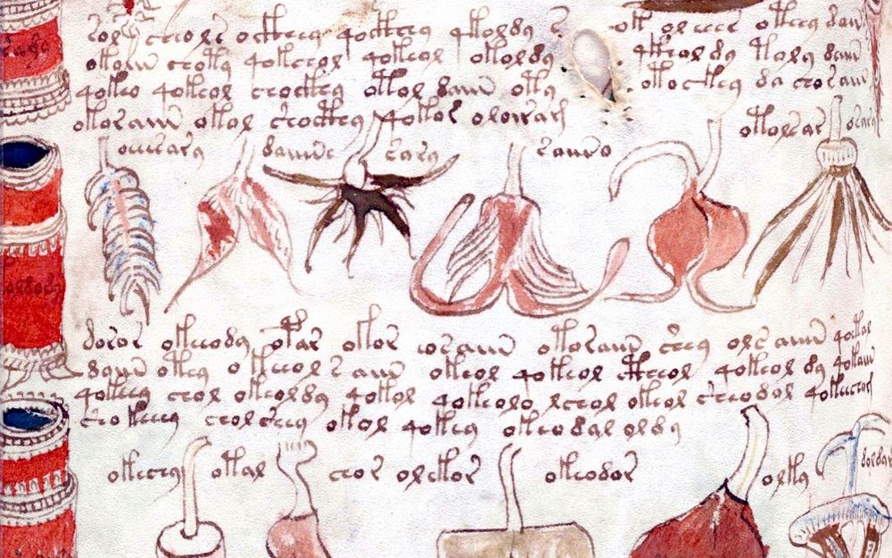 Un Computer A Descifrat Cel Mai Misterios Manuscris Din Lume Ce Scrie In Primele Randuri Ale Textului