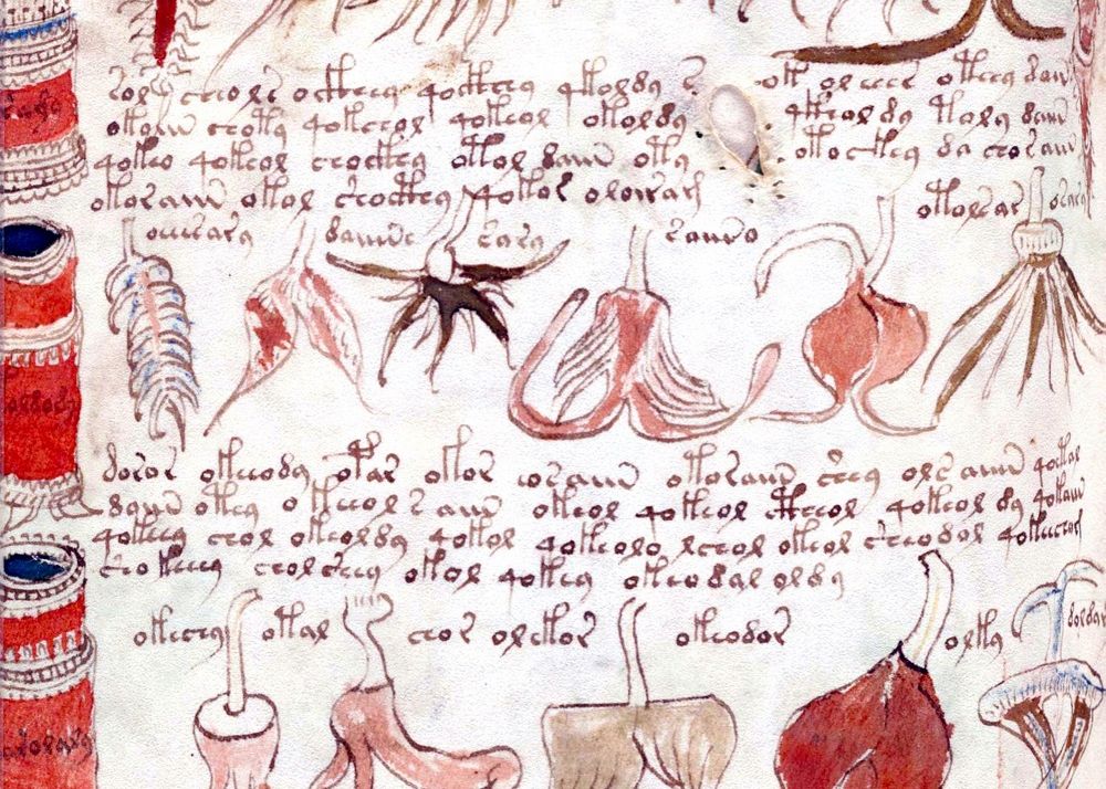 Un Computer A Descifrat Cel Mai Misterios Manuscris Din Lume Ce Scrie In Primele Randuri Ale Textului