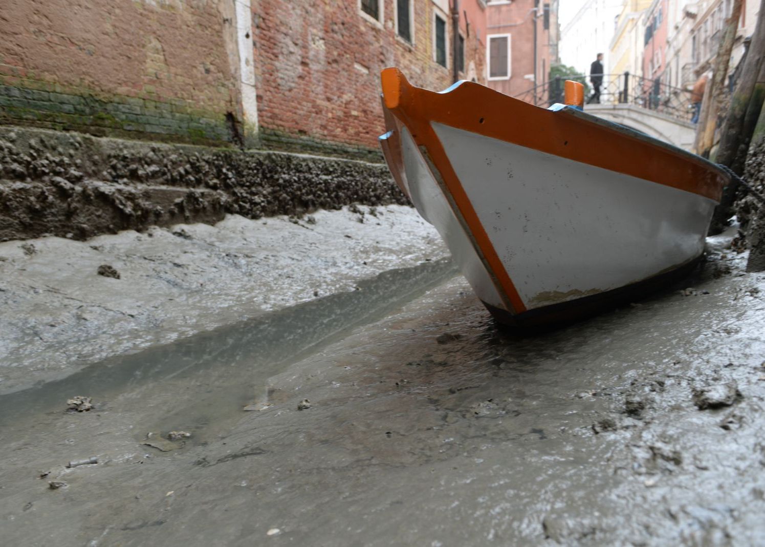 Efect Neasteptat Produs De Super Luna Albastra Sangerie Ce Se Intampla In Venetia