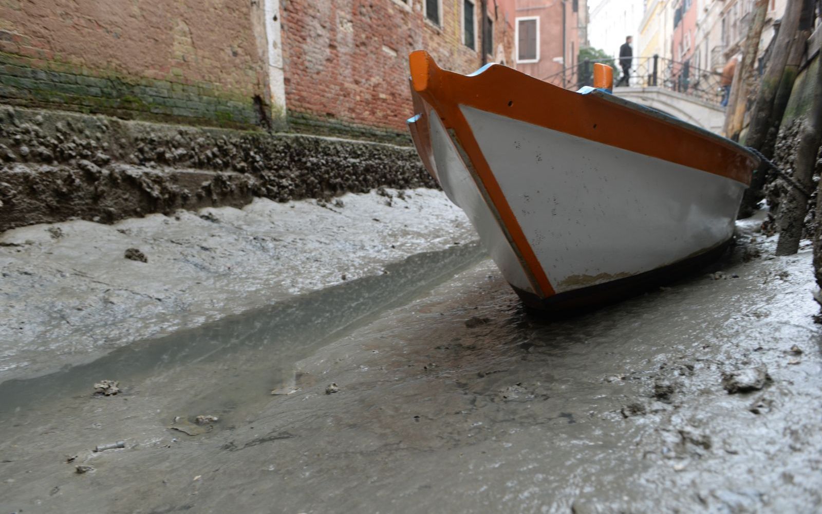 Efect Neasteptat Produs De Super Luna Albastra Sangerie Ce Se Intampla In Venetia