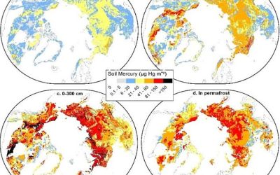 Topirea solului inghetat din Alaska ne pune viata in pericol. O toxina letala poate fi eliberata in mediu