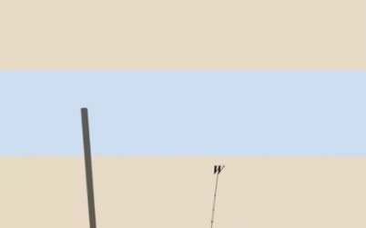 Un alt secret al egiptenilor, descifrat! Cum au reusit sa alinieze perfect Marea Piramida cu punctele cardinale Un Alt Secret Al Egiptenilor A Fost Descifrat Cum Au Reusit Sa Alinieze Perfect Marea Piramida Cu Punctele