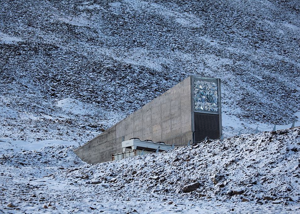 Masuri Radicale Luate De Autoritati In Urma Incalzirii Climei Ce Se Intampla Cu Depozitul Apocalipsei