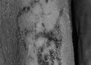 Cercetatorii au descoperit cele mai vechi tatuaje din lume, pe doua mumii egiptene! Dateaza de acum 5.000 de ani Cercetatorii Au Descoperit Cele Mai Vechi Tatuaje Din Lume Pe Doua Mumii Egiptene Dateaza De Acum 5 000