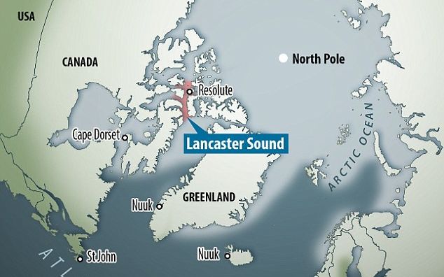 Imagini Impresionante Cu Un Rechin Dintr O Specie Rara Care Poate Trai Chiar Si 500 De Ani