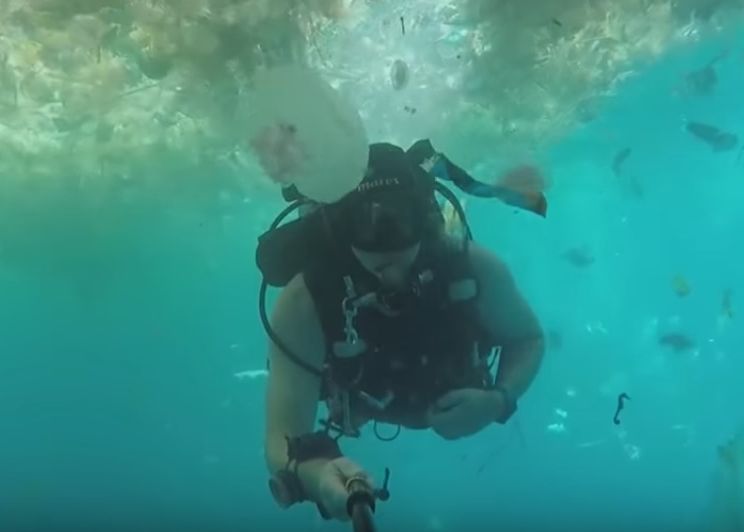 Imagini tulburatoare filmate intr-un paradis turistic. Ce-a vazut acest scafandru Imagini Tulburatoare Filmate Intr Un Paradis Exotic Ce A Vazut Acest Scafandru